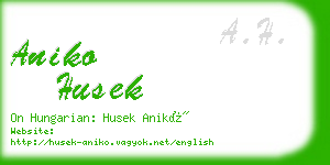 aniko husek business card